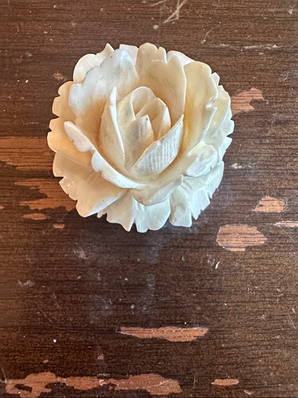 1.5” 1920s hand carved Celluloid Peony brooch just beyond